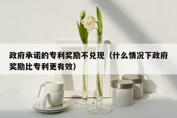 政府承诺的专利奖励不兑现（什么情况下政府奖励比专利更有效）