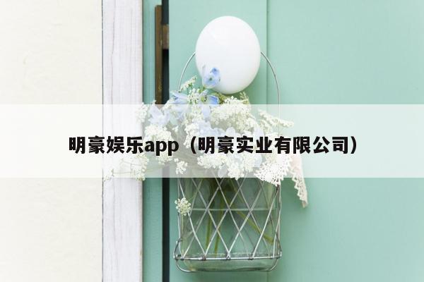 明豪娱乐app（明豪实业有限公司）