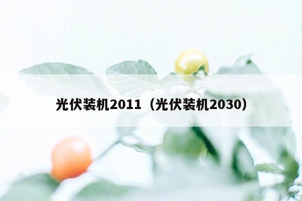 光伏装机2011（光伏装机2030）