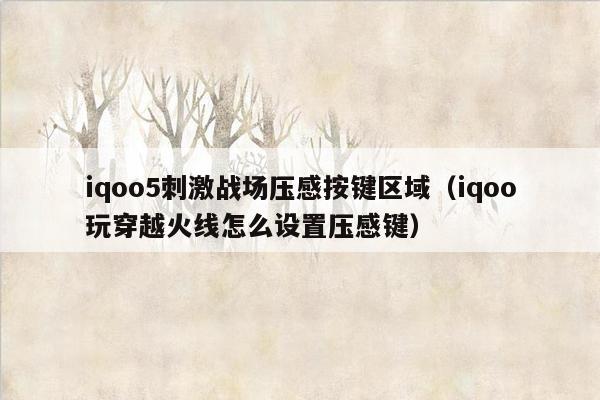 iqoo5刺激战场压感按键区域（iqoo玩穿越火线怎么设置压感键）