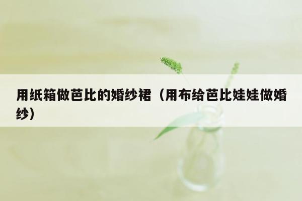 用纸箱做芭比的婚纱裙（用布给芭比娃娃做婚纱）