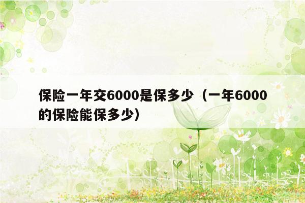 保险一年交6000是保多少（一年6000的保险能保多少）