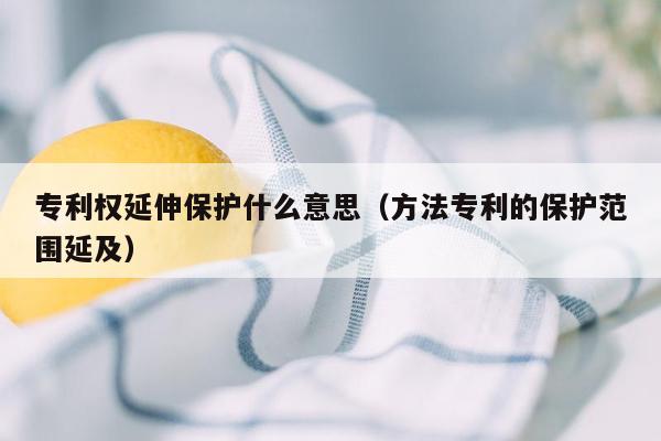 专利权延伸保护什么意思（方法专利的保护范围延及）