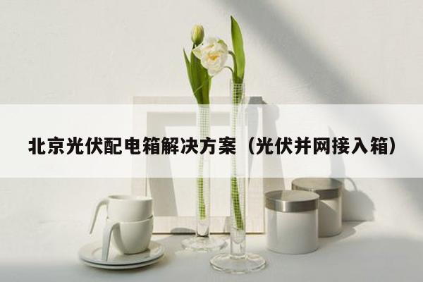 北京光伏配电箱解决方案（光伏并网接入箱）