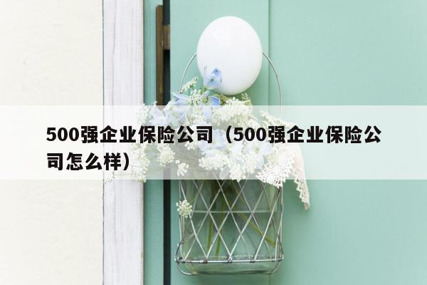 500强企业保险公司（500强企业保险公司怎么样）