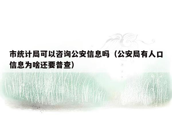 市统计局可以咨询公安信息吗（公安局有人口信息为啥还要普查）