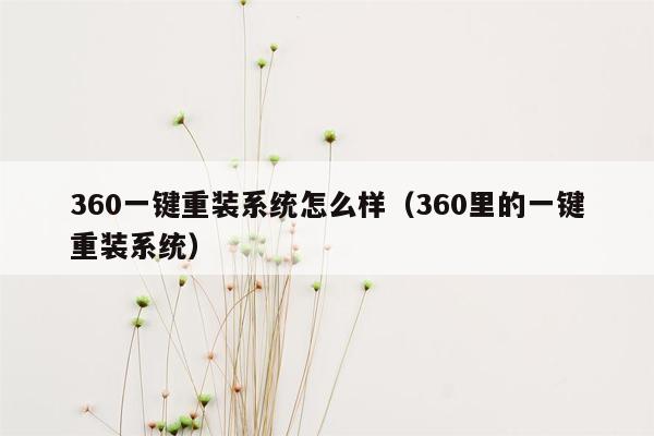 360一键重装系统怎么样（360里的一键重装系统）