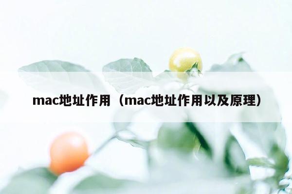 mac地址作用（mac地址作用以及原理）