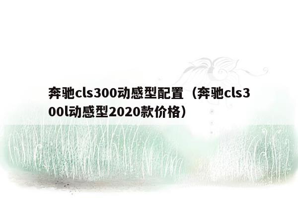 奔驰cls300动感型配置（奔驰cls300l动感型2020款价格）