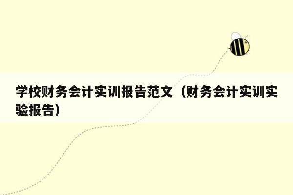 学校财务会计实训报告范文（财务会计实训实验报告）