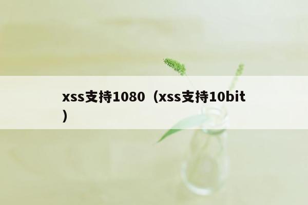 xss支持1080（xss支持10bit）