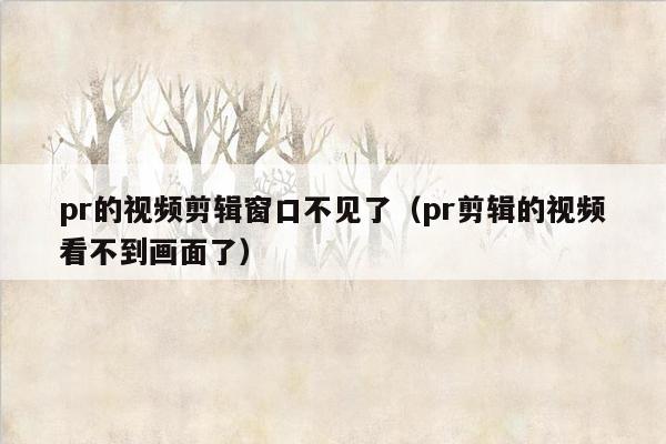 pr的视频剪辑窗口不见了（pr剪辑的视频看不到画面了）