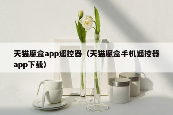 天猫魔盒app遥控器（天猫魔盒手机遥控器app下载）