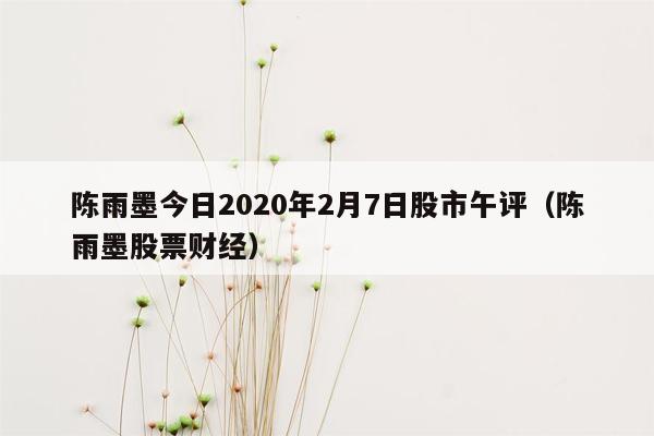 陈雨墨今日2020年2月7日股市午评（陈雨墨股票财经）