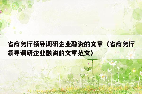 省商务厅领导调研企业融资的文章（省商务厅领导调研企业融资的文章范文）