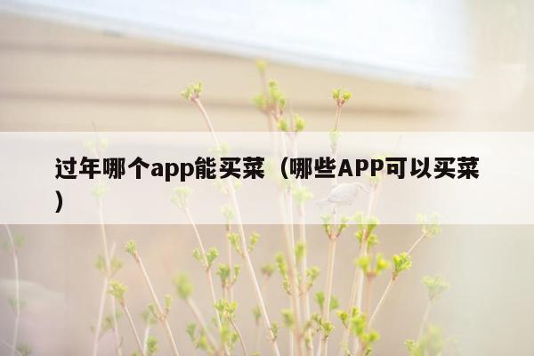 过年哪个app能买菜（哪些APP可以买菜）