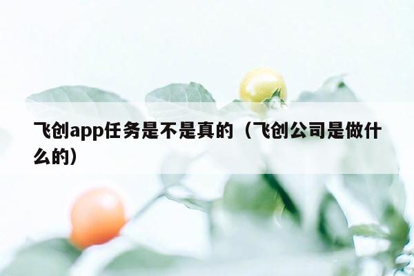 飞创app任务是不是真的（飞创公司是做什么的）