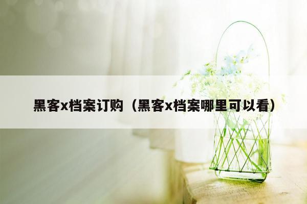 黑客x档案订购（黑客x档案哪里可以看）