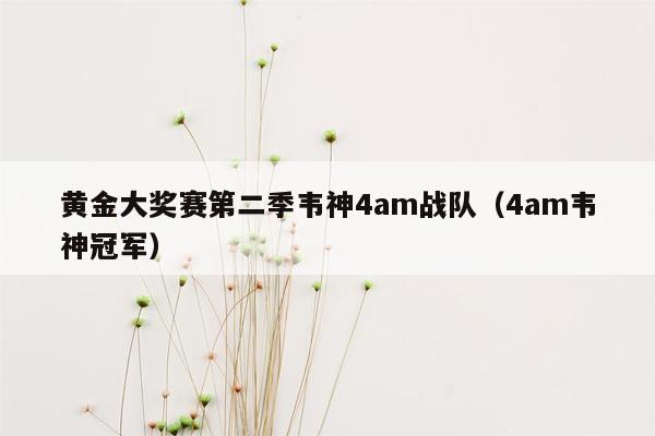 黄金大奖赛第二季韦神4am战队（4am韦神冠军）