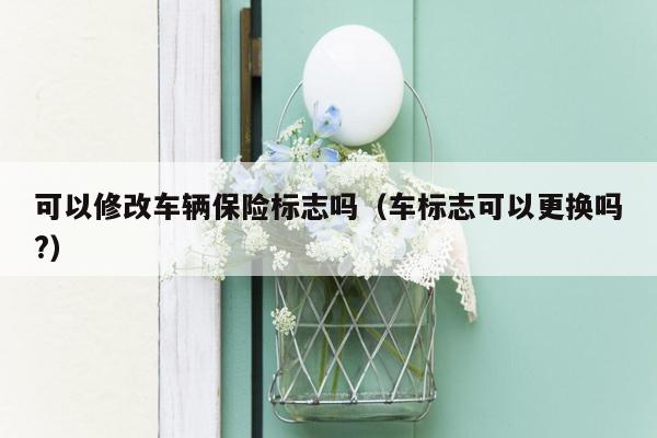 可以修改车辆保险标志吗（车标志可以更换吗?）