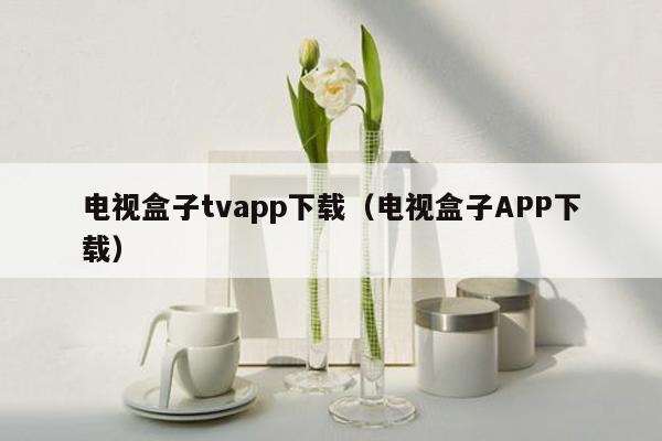 电视盒子tvapp下载（电视盒子APP下载）