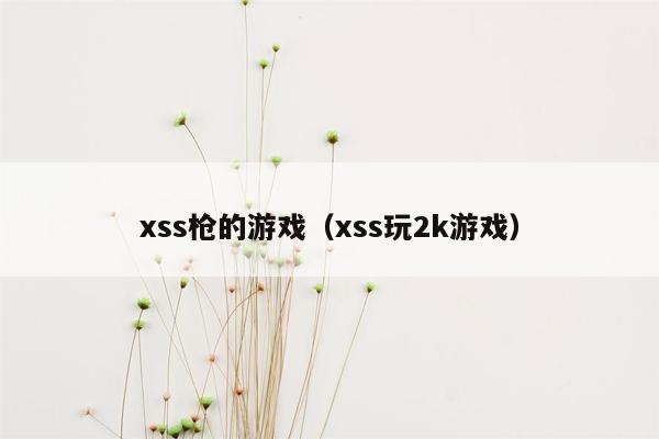 xss枪的游戏（xss玩2k游戏）