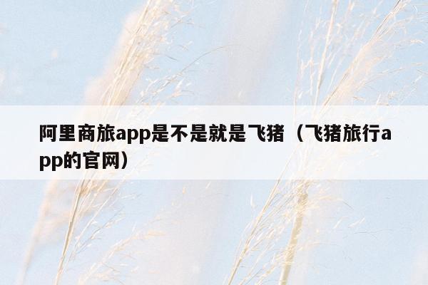 阿里商旅app是不是就是飞猪（飞猪旅行app的官网）