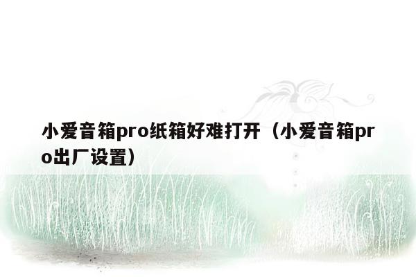 小爱音箱pro纸箱好难打开（小爱音箱pro出厂设置）