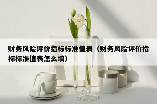 财务风险评价指标标准值表（财务风险评价指标标准值表怎么填）