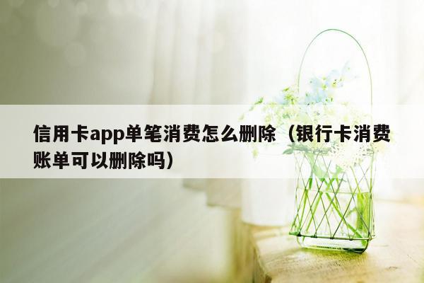 信用卡app单笔消费怎么删除（银行卡消费账单可以删除吗）