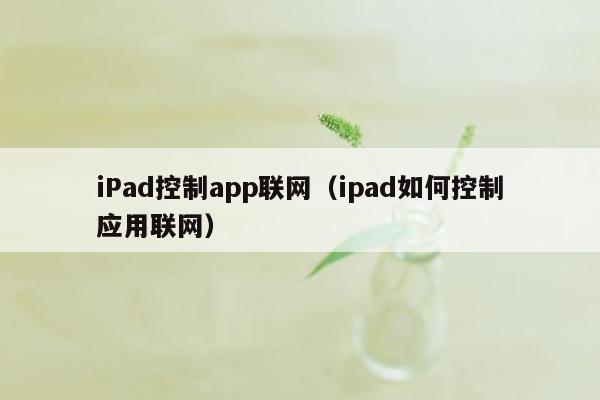 iPad控制app联网（ipad如何控制应用联网）