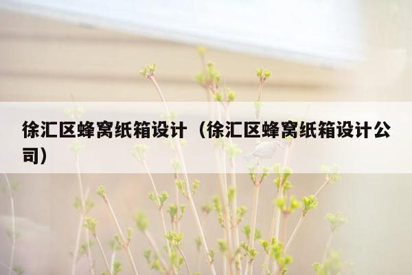 徐汇区蜂窝纸箱设计（徐汇区蜂窝纸箱设计公司）