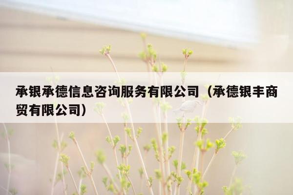 承银承德信息咨询服务有限公司（承德银丰商贸有限公司）