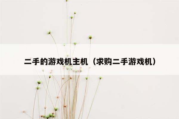 二手的游戏机主机（求购二手游戏机）