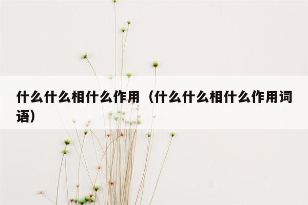 什么什么相什么作用（什么什么相什么作用词语）