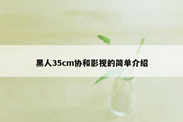 黑人35cm协和影视的简单介绍