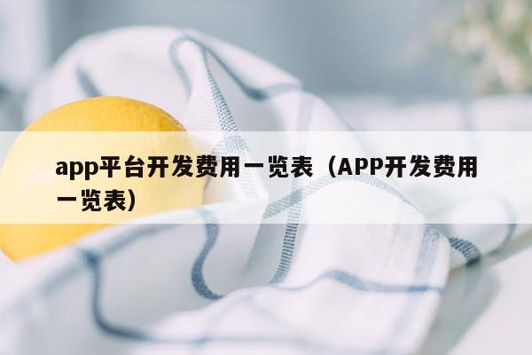 app平台开发费用一览表（APP开发费用一览表）