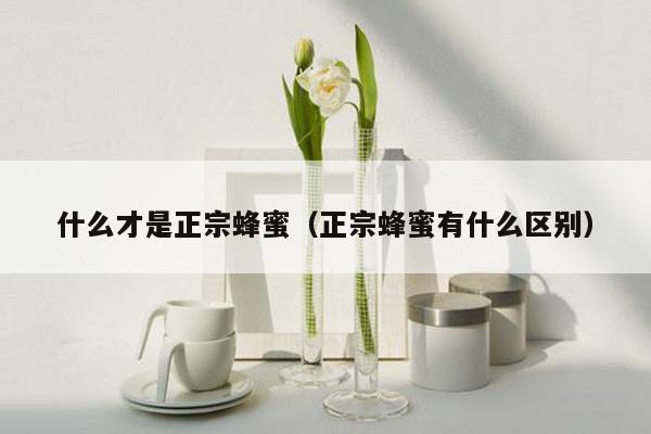 什么才是正宗蜂蜜（正宗蜂蜜有什么区别）