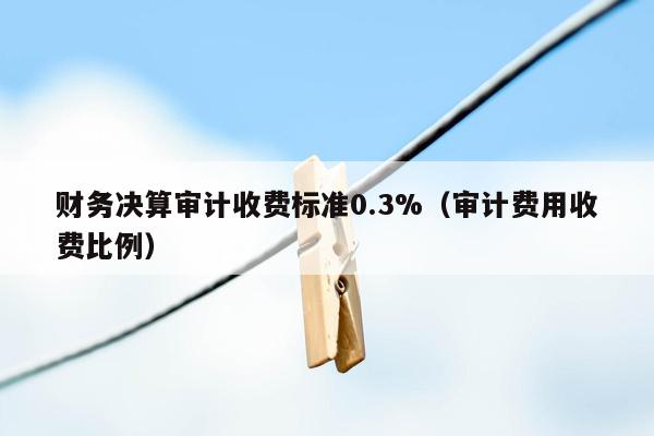 财务决算审计收费标准0.3%（审计费用收费比例）