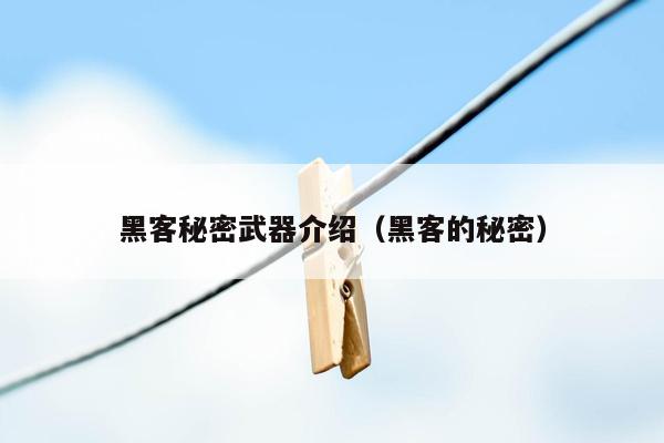 黑客秘密武器介绍（黑客的秘密）