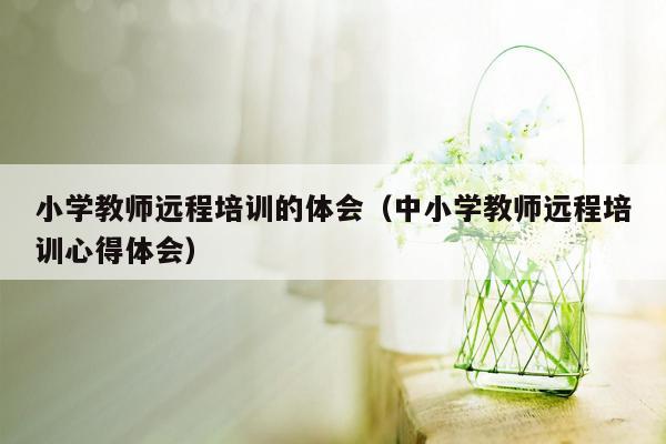 小学教师远程培训的体会（中小学教师远程培训心得体会）