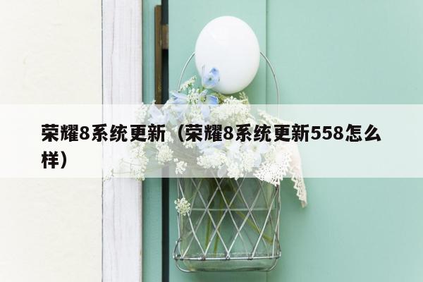 荣耀8系统更新（荣耀8系统更新558怎么样）