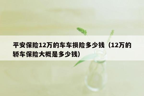 平安保险12万的车车损险多少钱（12万的轿车保险大概是多少钱）