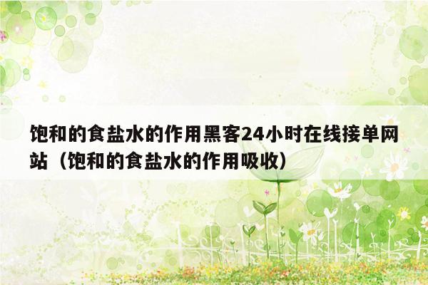 饱和的食盐水的作用黑客24小时在线接单网站（饱和的食盐水的作用吸收）