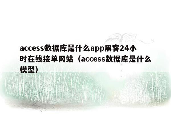 access数据库是什么app黑客24小时在线接单网站（access数据库是什么模型）