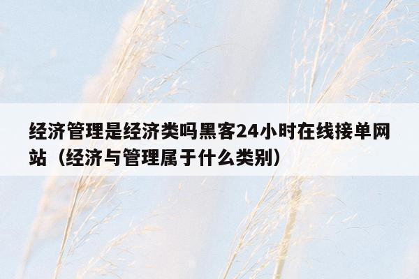 经济管理是经济类吗黑客24小时在线接单网站（经济与管理属于什么类别）