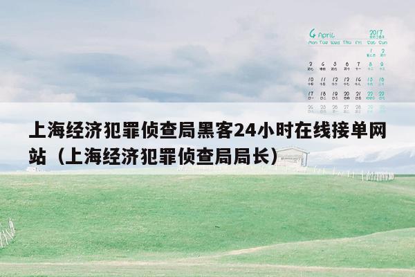 上海经济犯罪侦查局黑客24小时在线接单网站（上海经济犯罪侦查局局长）