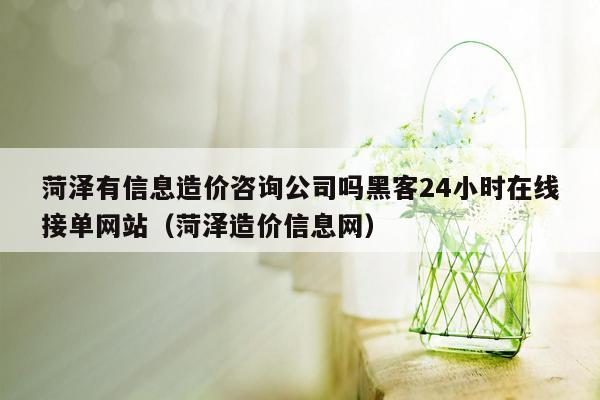 菏泽有信息造价咨询公司吗黑客24小时在线接单网站（菏泽造价信息网）