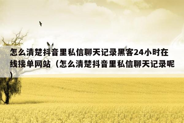 怎么清楚抖音里私信聊天记录黑客24小时在线接单网站（怎么清楚抖音里私信聊天记录呢）