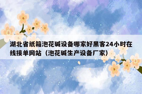 湖北省纸箱泡花碱设备哪家好黑客24小时在线接单网站（泡花碱生产设备厂家）